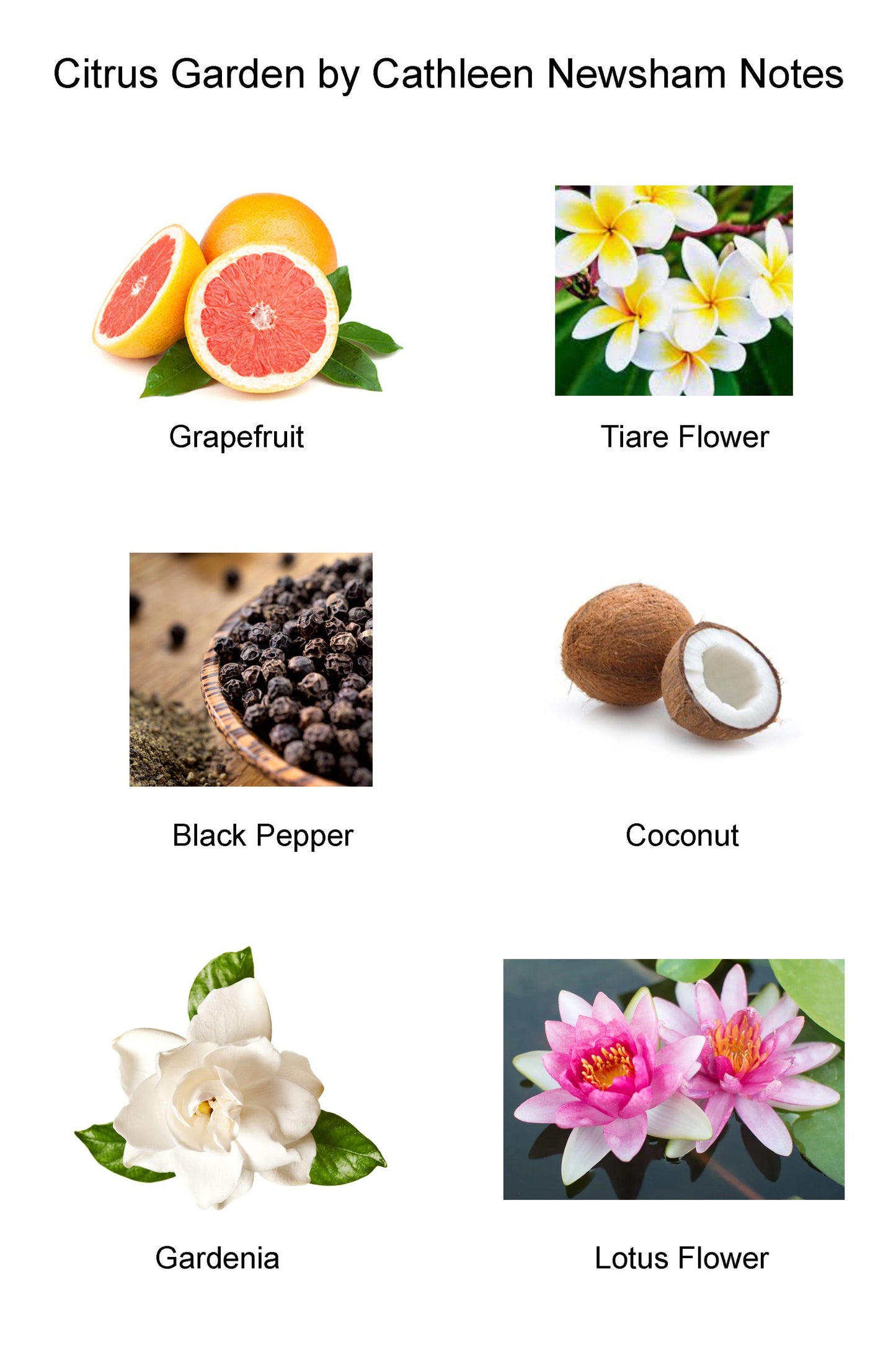 Citrus Garden Perfume, 30ml - CN Perfumes