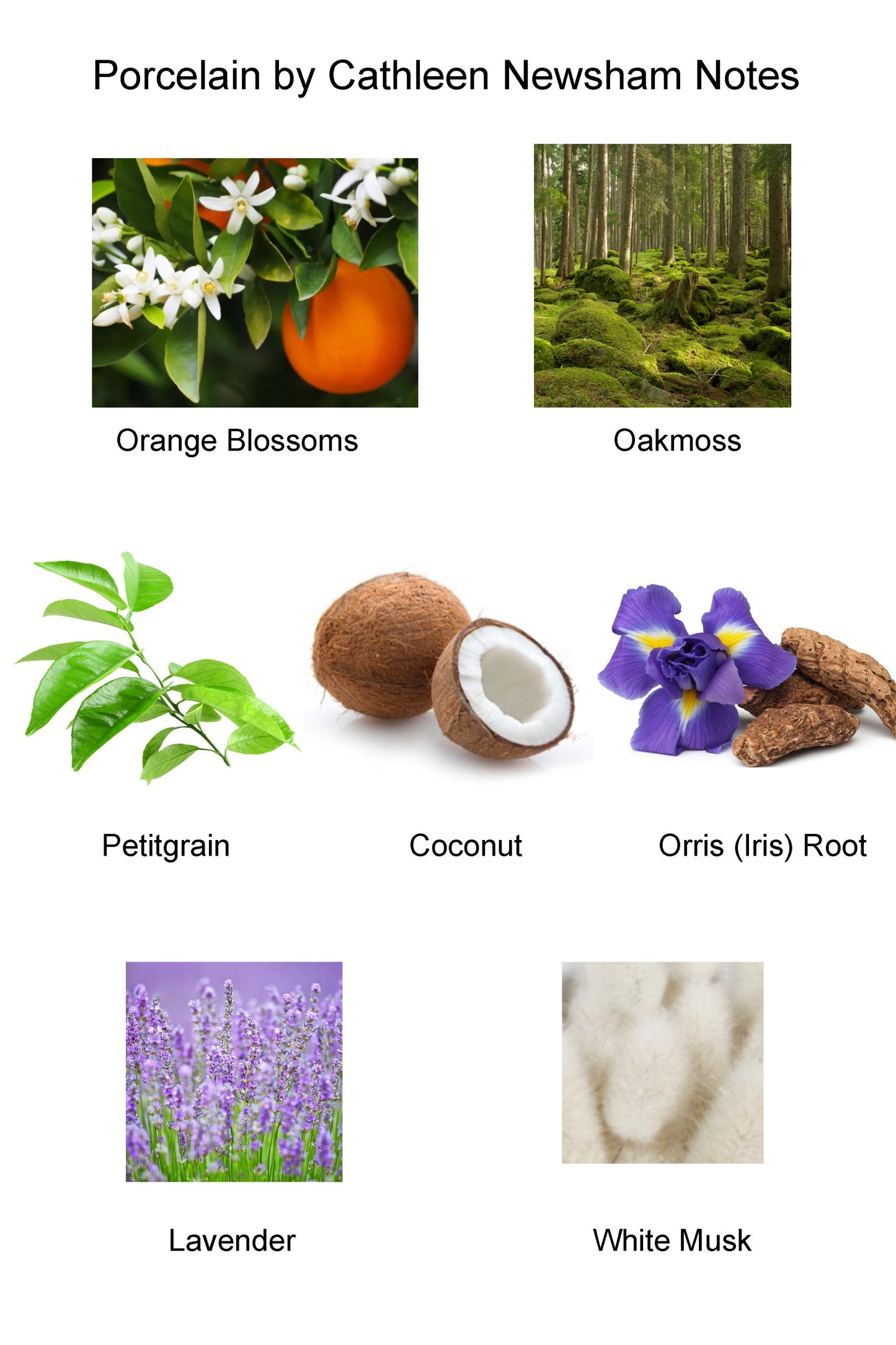 Pocelain Perfume, 10ml - CN Perfumes