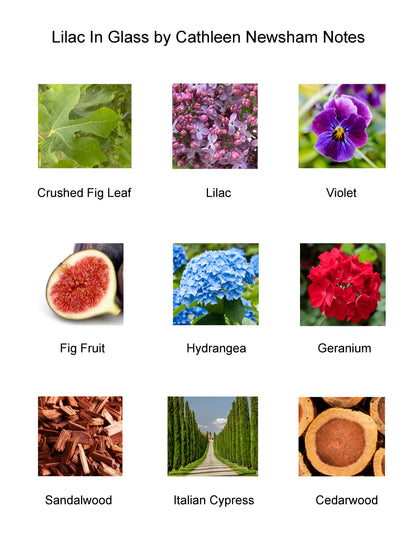 Lilac in Glass Perfume, 10ml - CN Perfumes